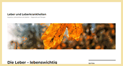 Desktop Screenshot of leberinfo.de